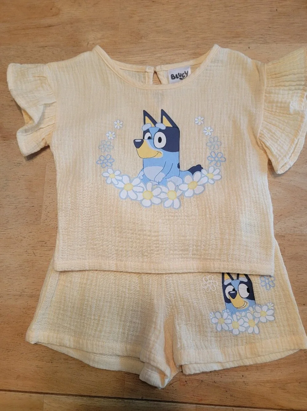 Baby 2-piece Soft Yellow Short Sleeve, Shorts Bluey Set- 12 Months